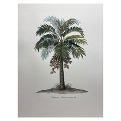 Stampa botanica contemporanea italiana dipinta a mano "Phoenix Dactylifera", 3 di 4