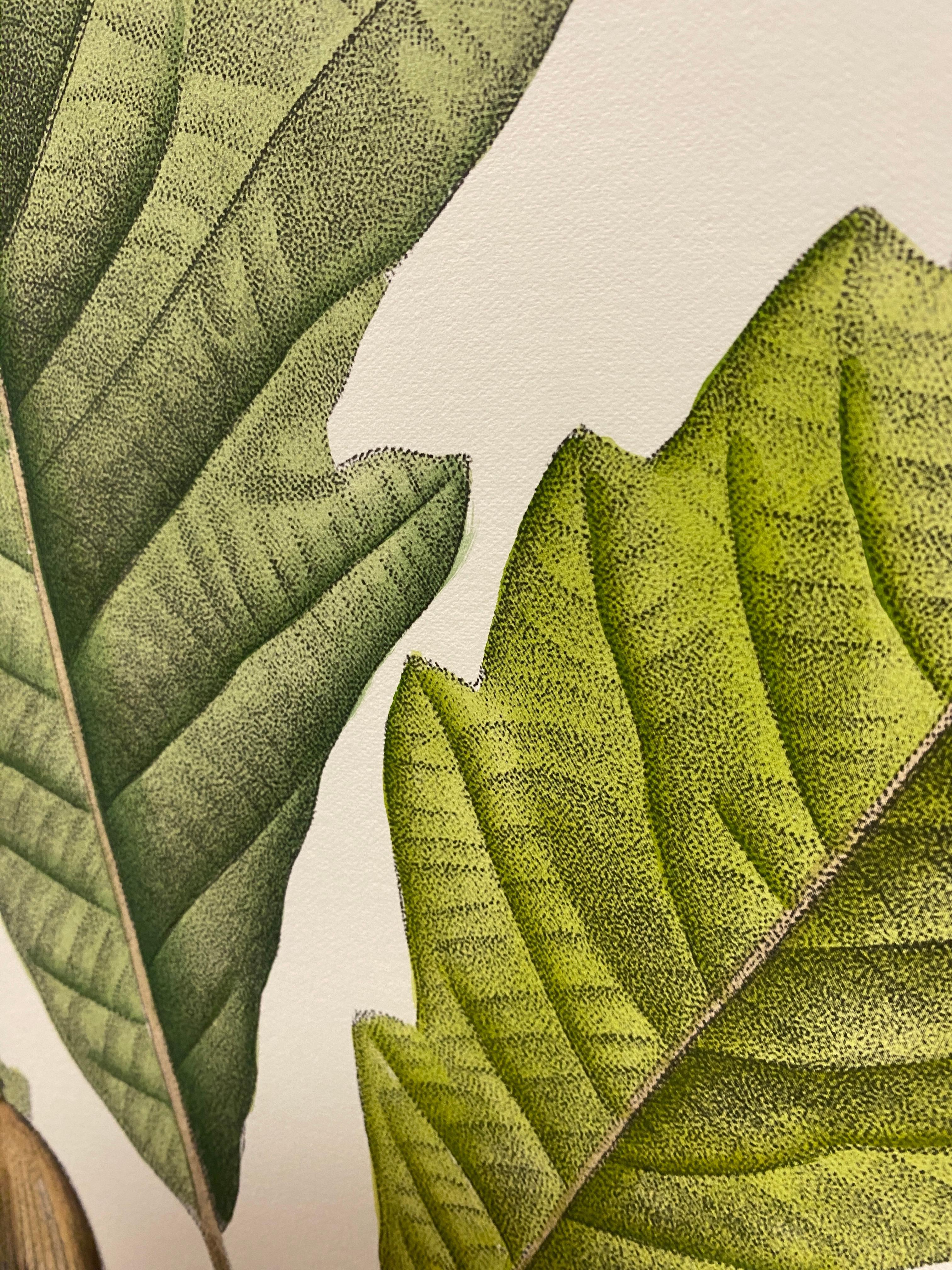 Carta Stampa botanica italiana contemporanea dipinta a mano 