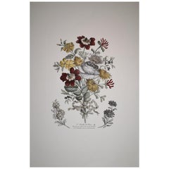 Italian Contemporary Hand Painted Botanical Print "V° Feuilles de Fleurs"