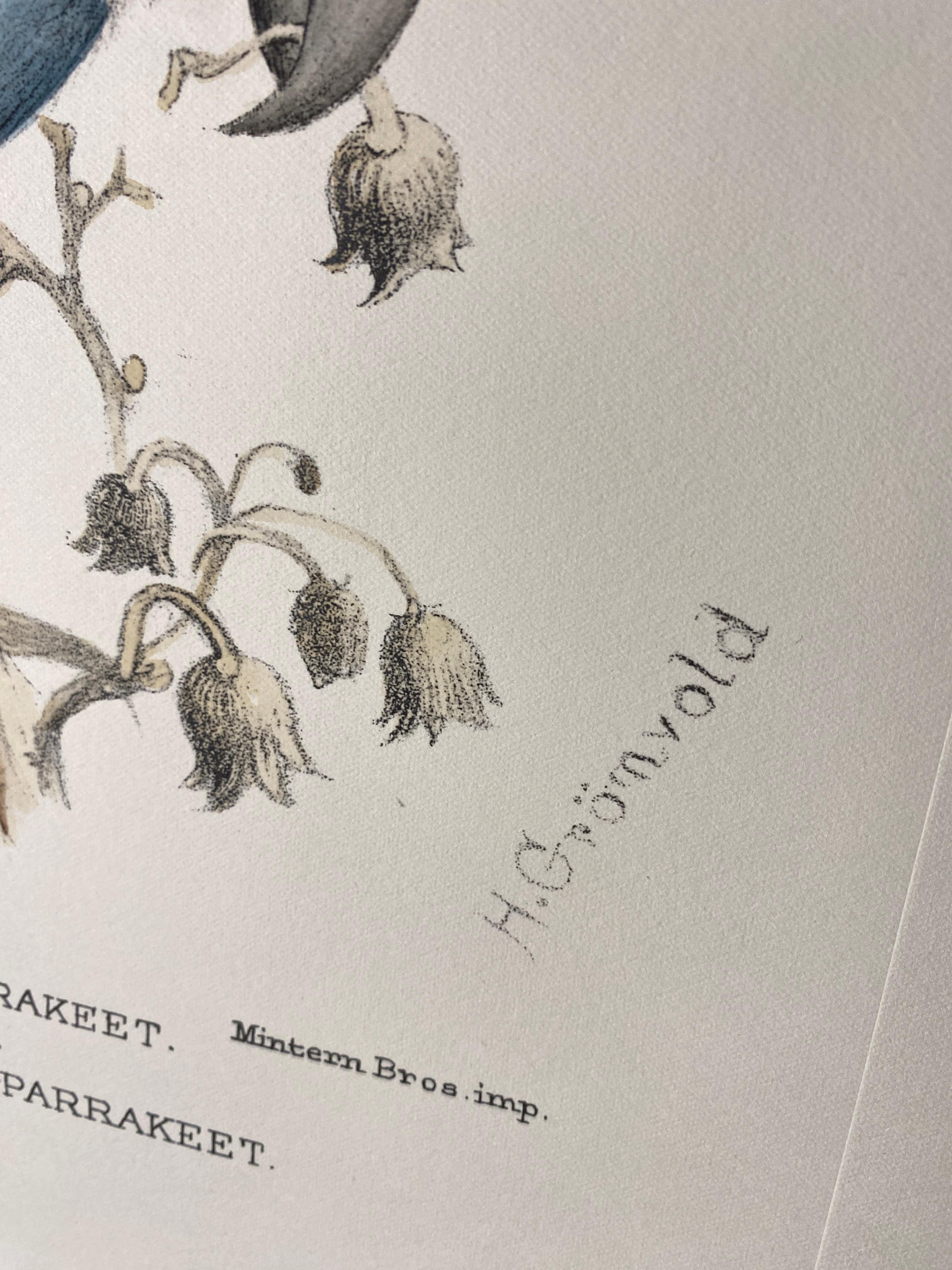 Stampa contemporanea italiana dipinta a mano di Henrik Grönvold 