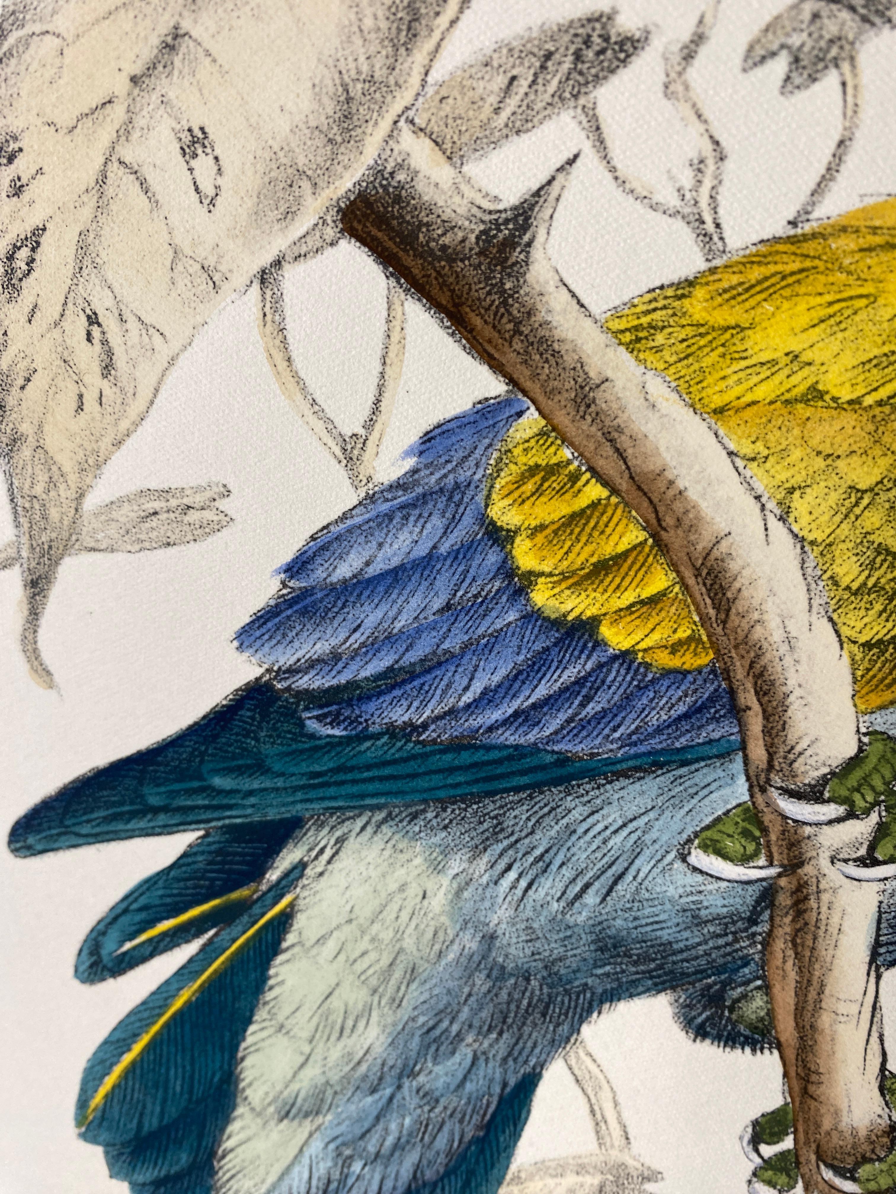 Stampa contemporanea italiana dipinta a mano di Henrik Grönvold 