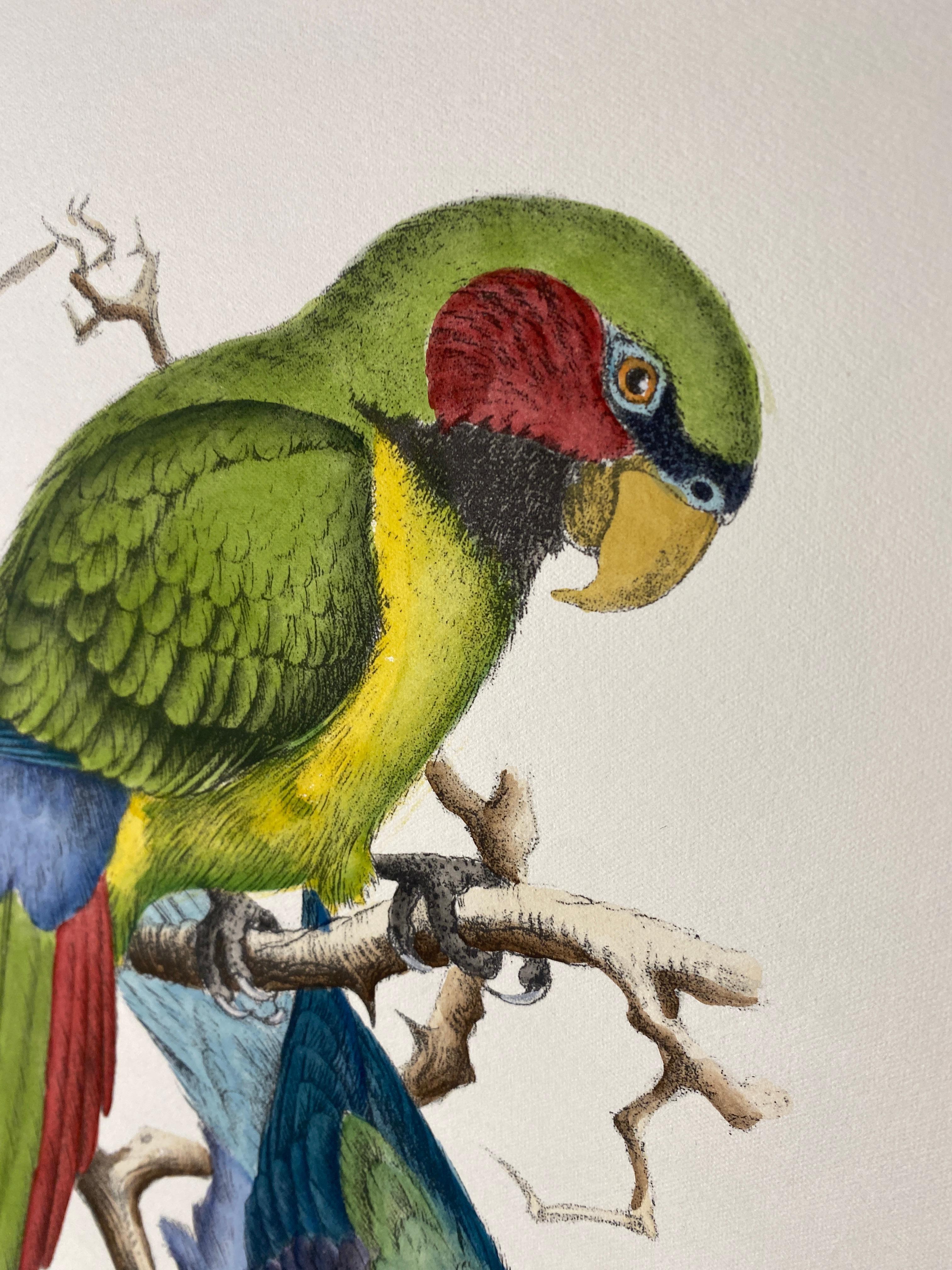 XXI secolo e contemporaneo Stampa contemporanea italiana dipinta a mano di Henrik Grönvold 