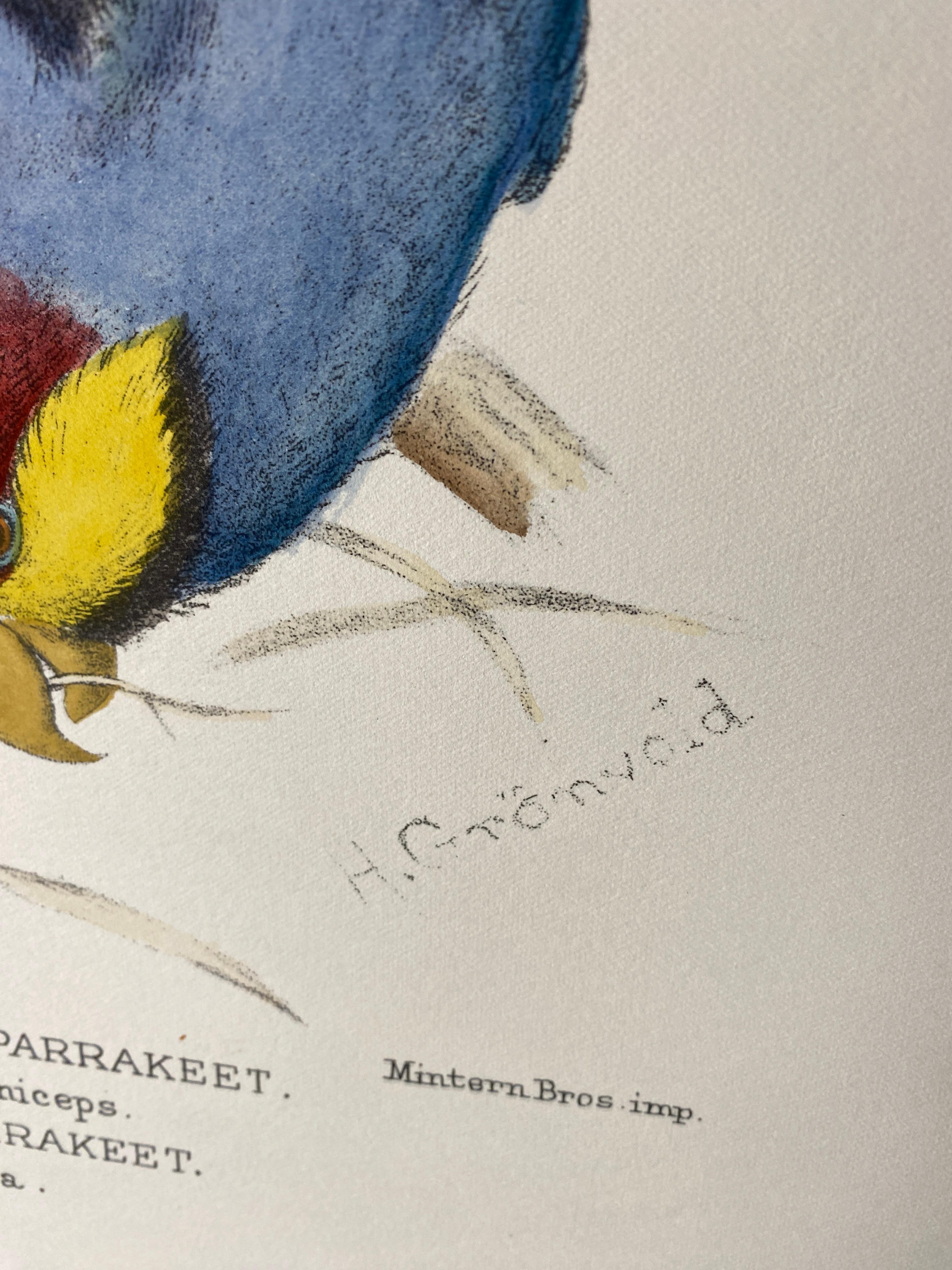 Stampa contemporanea italiana dipinta a mano di Henrik Grönvold 