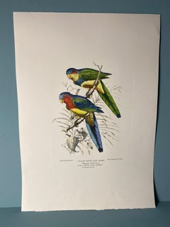 Italian Contemporary Hand Painted Print by Henrik Grönvold "Parrakeets" 3 of 3
