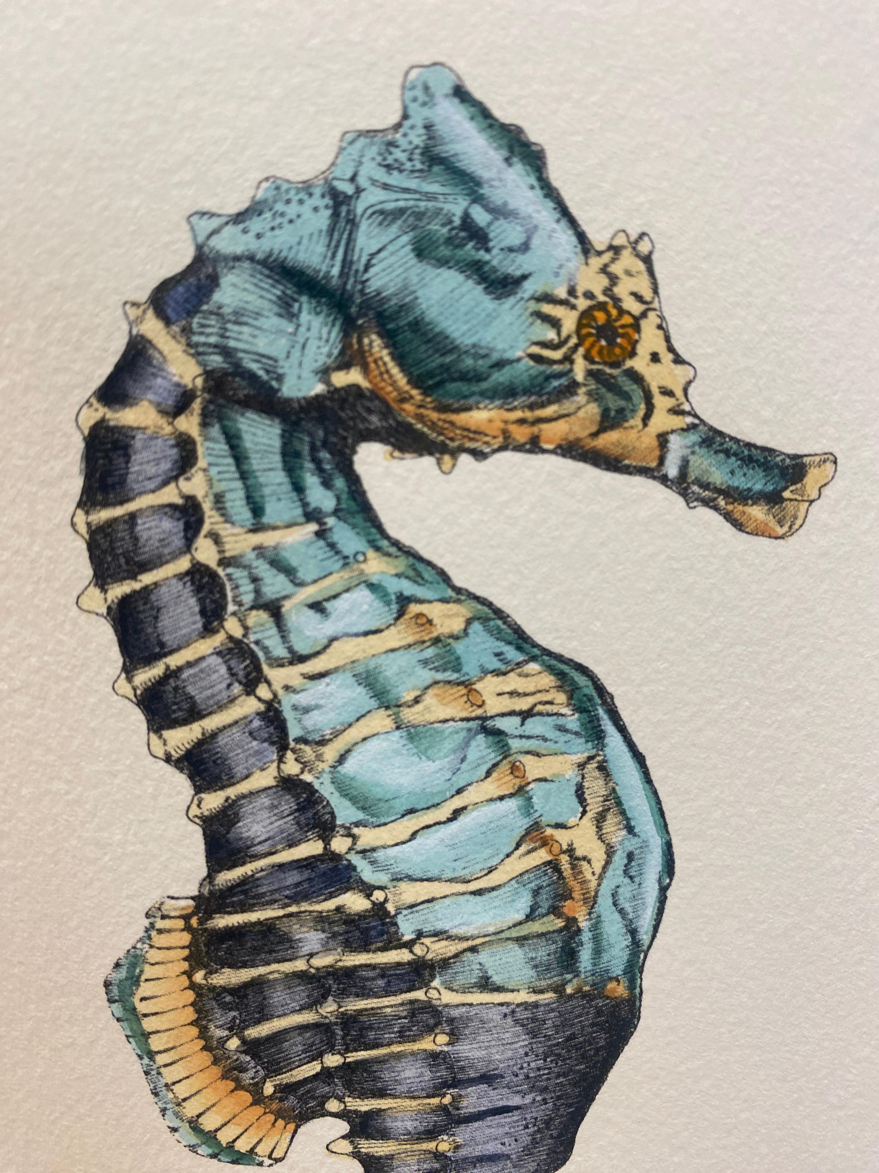 Eleganter, handaquarellierter Druck, der einen Hippocampus Kuda in hellblauer Nuance darstellt. Das Bild wurde nach alten und berühmten Illustrationen reproduziert.
Diese Drucke sind in 2 verschiedenen Darstellungen erhältlich, um eine helle und