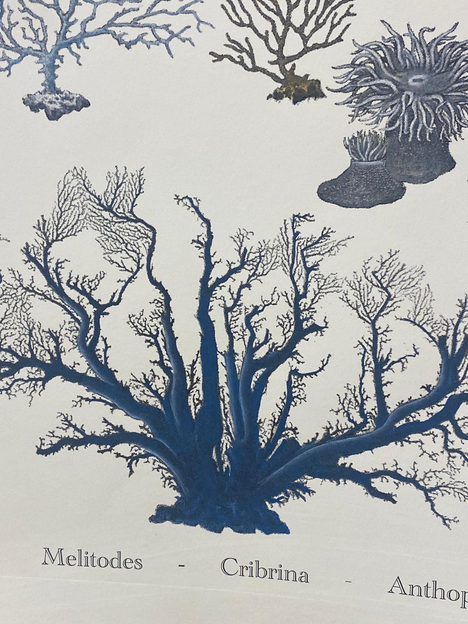 Eleganter handaquarellierter Druck, der Korallen darstellt, aus der Serie Japanese Sea Life
Dieser Druck im Marinestil ist in 6 verschiedenen natürlichen Darstellungen erhältlich, um eine helle und fröhliche Komposition zu schaffen:
- Quallen
-
