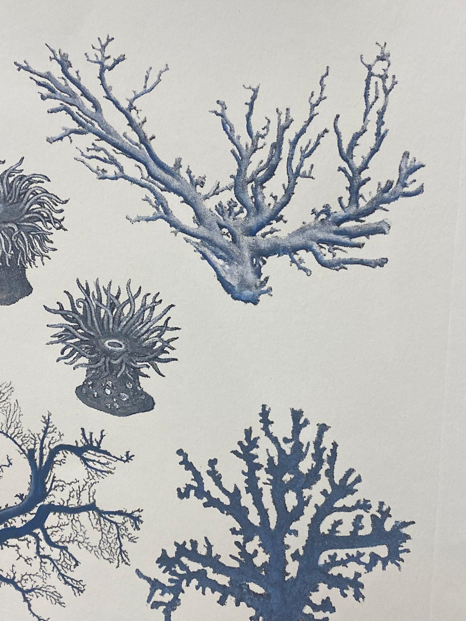 Paper Italian Contemporary Hand Painted Print Japanese Sea Life 