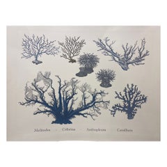 Impression peinte à la main contemporaine italienne Vie marine japonaise "Coraux", 3 de 6