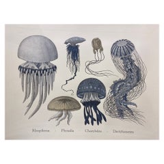Italian Contemporary Hand Painted Print Japanese Sea Life "Jellyfishes", 1 of 6
