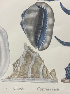 Italian Contemporary Hand Painted Print Japanese Sea Life "Shells", 4 of 6