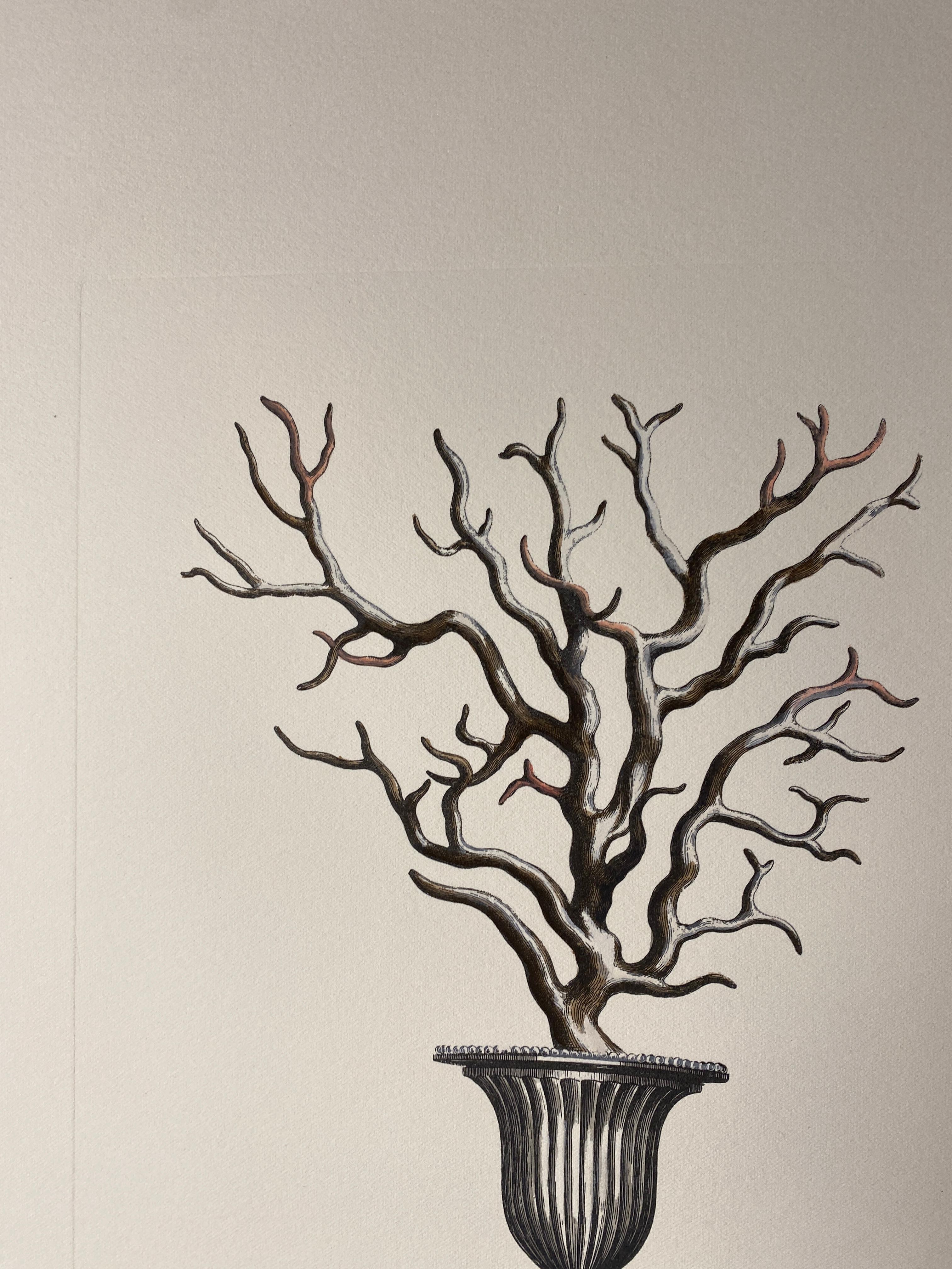 Elegant hand-watercolored print representing a sheffield candle holder with a coral branch hand-colored in light grey nuance, Image reproduced from ancient and famous illustrations. 
Images that representing the movement called Objets de Curiosité,