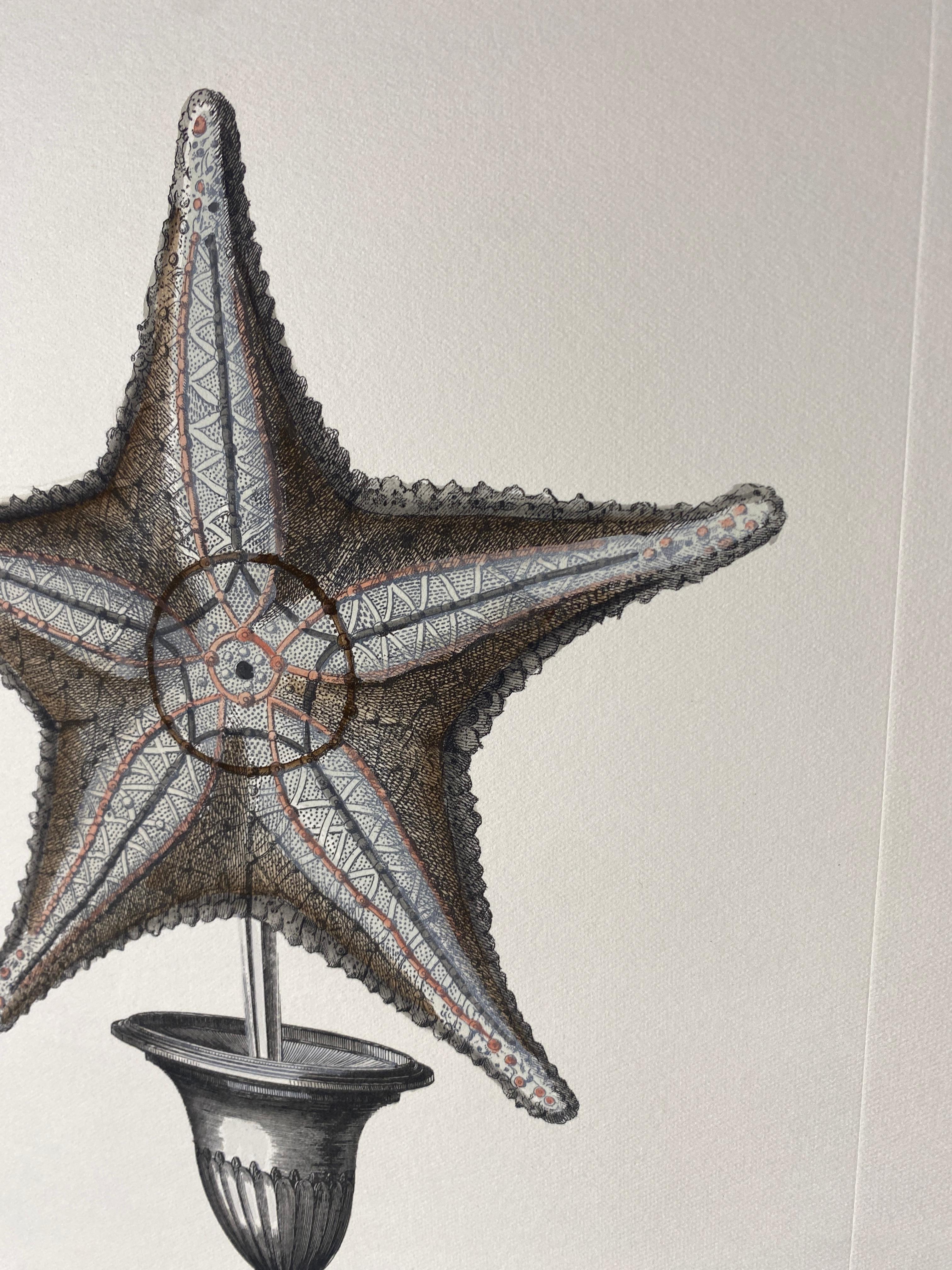 Paper Italian Contemporary Hand Painted Print Marina Candle Holder 