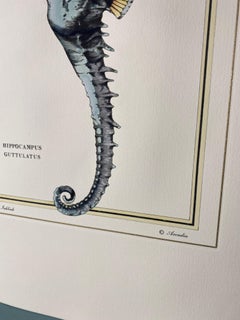 Italian Contemporary Hand Painted Print Marina Gold "Hipp Guttulatus", 3 of 4