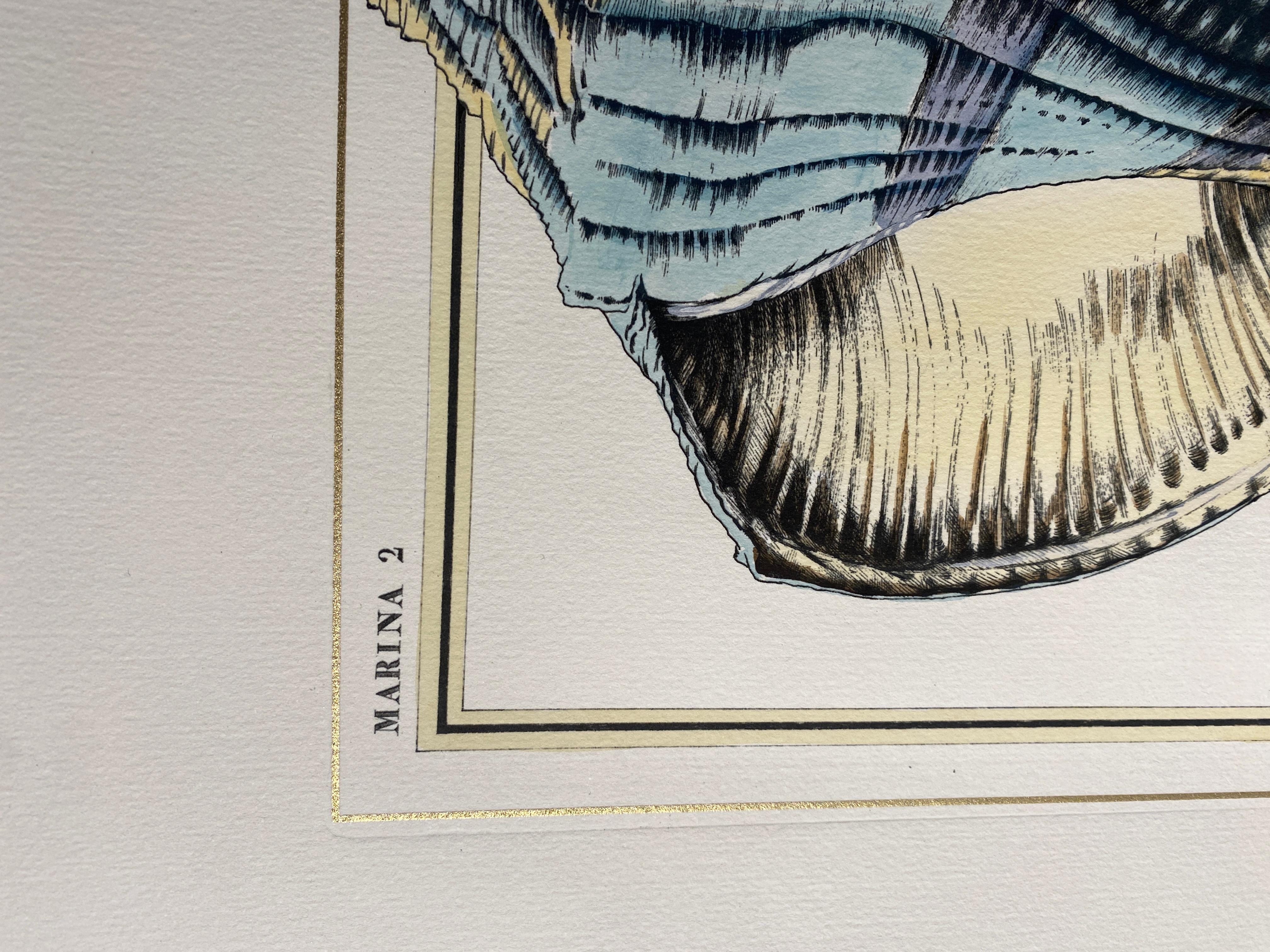Eleganza della stampa acquerellata a mano raffigurante un moscone della luce con sfumature azzurre, immagine riprodotta da antiche e famose illustrazioni, con una semplice quadrettatura in oro.
Queste stampe sono disponibili in 2 diverse