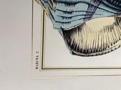 Italian Contemporary Hand Painted Print Marina Gold "Lighting Whelk", 2 of 4