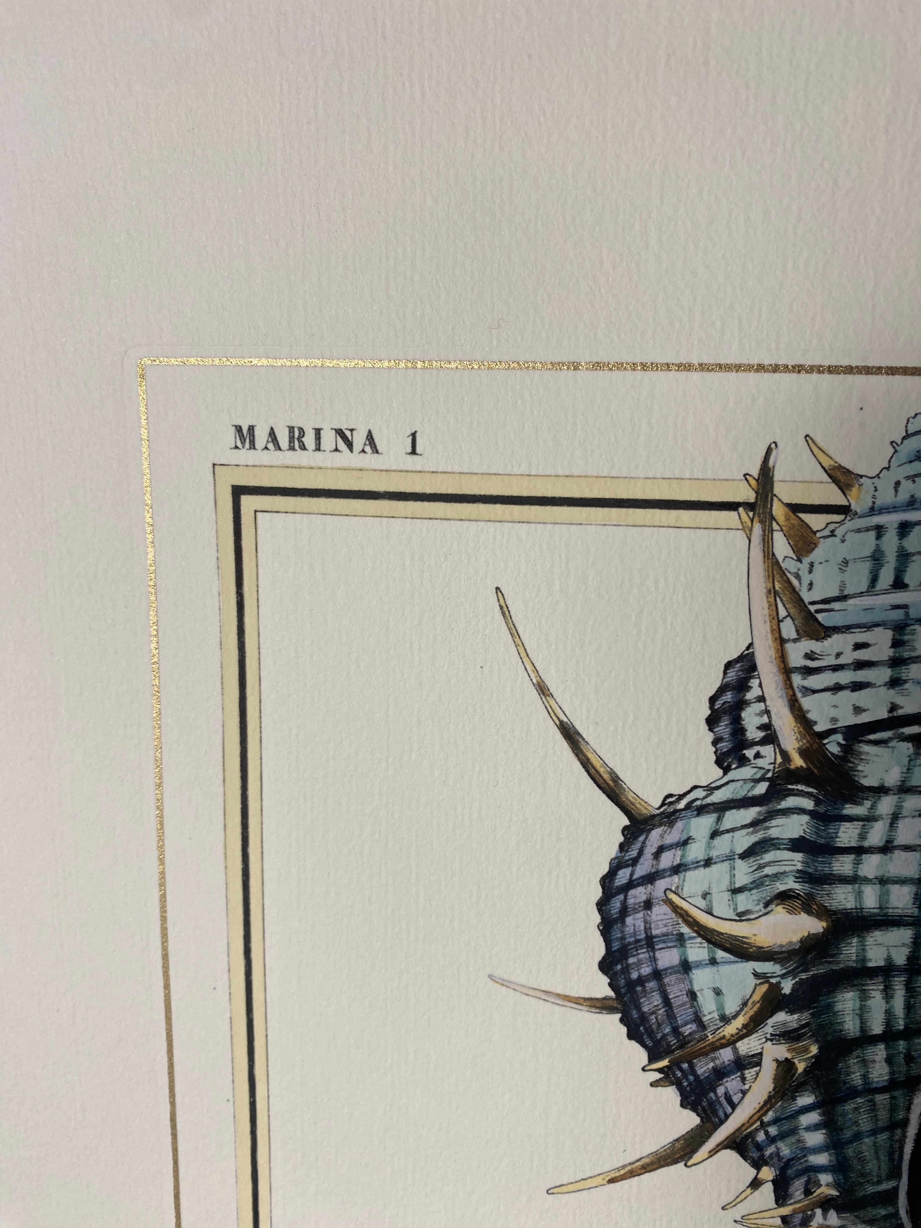Elegante stampa acquerellata a mano raffigurante un Murex di Troschel in sfumatura azzurra, immagine riprodotta da antiche e famose illustrazioni, con una semplice quadrettatura in oro.
Queste stampe sono disponibili in 2 diverse rappresentazioni,