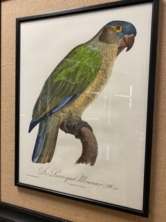 Italienische Contemporary HandColored Print "Le Parroquet" Holz und Jute Rahmen 1 von 2