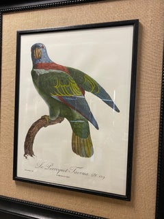 Stampa contemporanea italiana colorata a mano "Le Parroquet" con cornice in legno e iuta 2 di 2