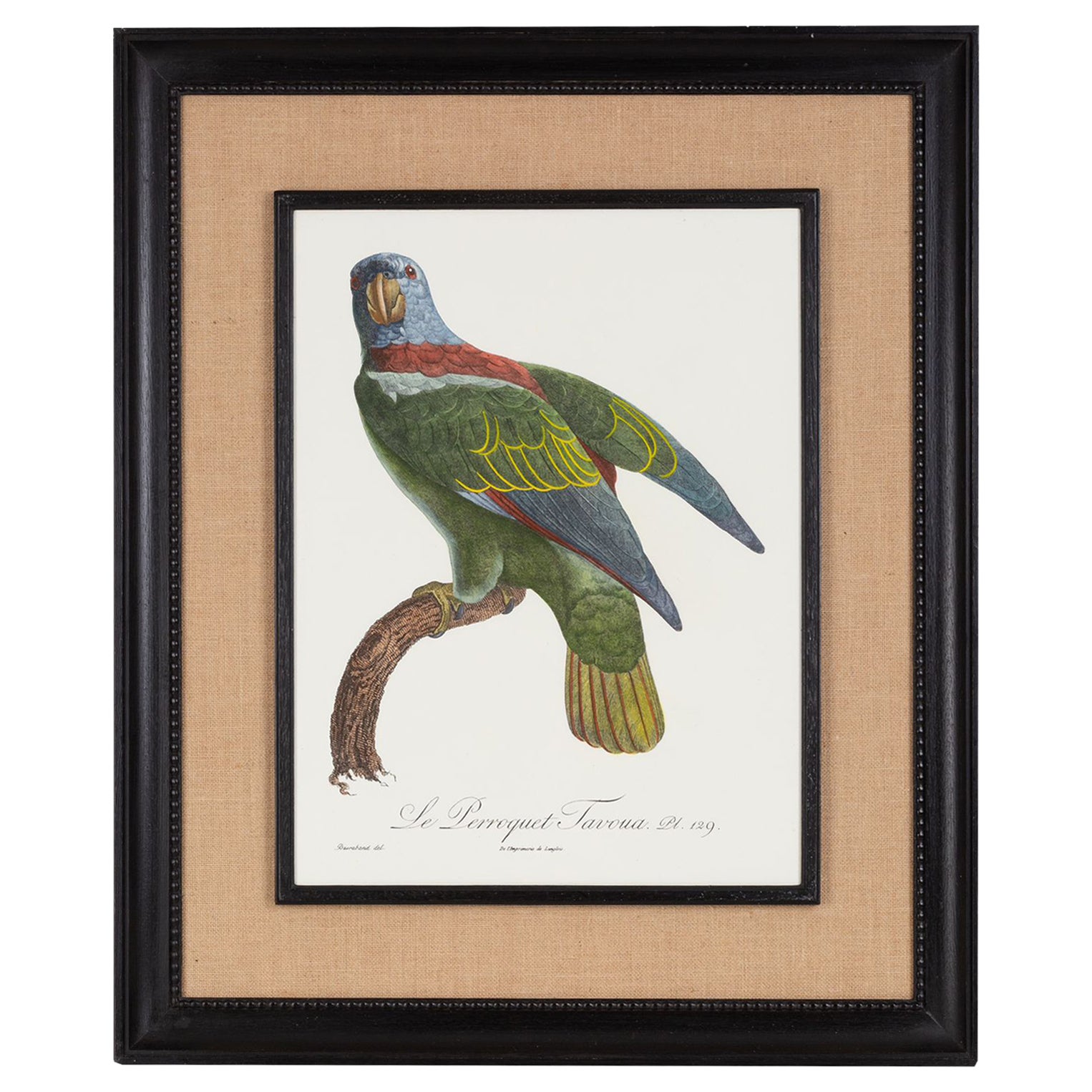 Italienische Contemporary HandColored Print "Le Parroquet" Holz und Jute Frame 2 von 2 im Angebot