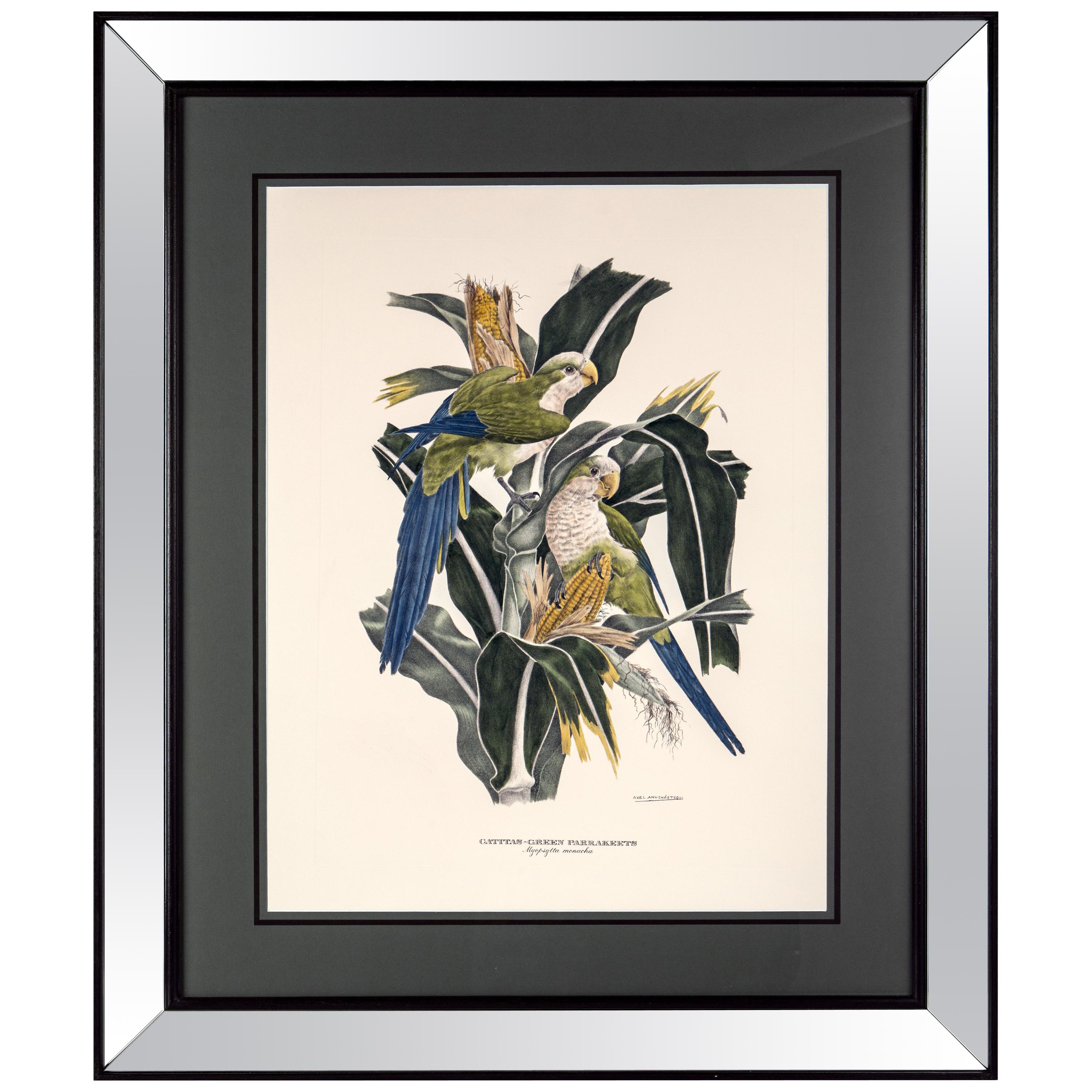 Italian Contemporary Handcolored Print with Mirrored Wooden Frame For Sale