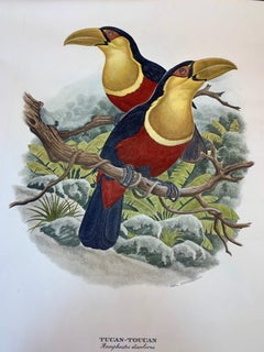 Italienischer zeitgenössischer handkolorierter Druck mit gespiegeltem Holzrahmen