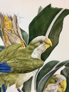 Italienischer zeitgenössischer handkolorierter Druck mit gespiegeltem Holzrahmen