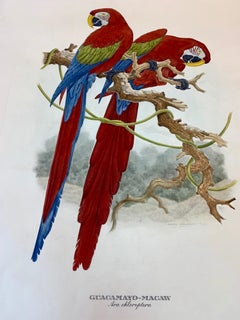 Italian Contemporary Hand Colored Print with Mirrored Wooden Frame