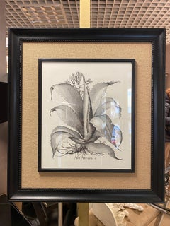 Italian Contemporary HandCrafted Print "Aloe America" Wood and Jute Frame 1 of 2