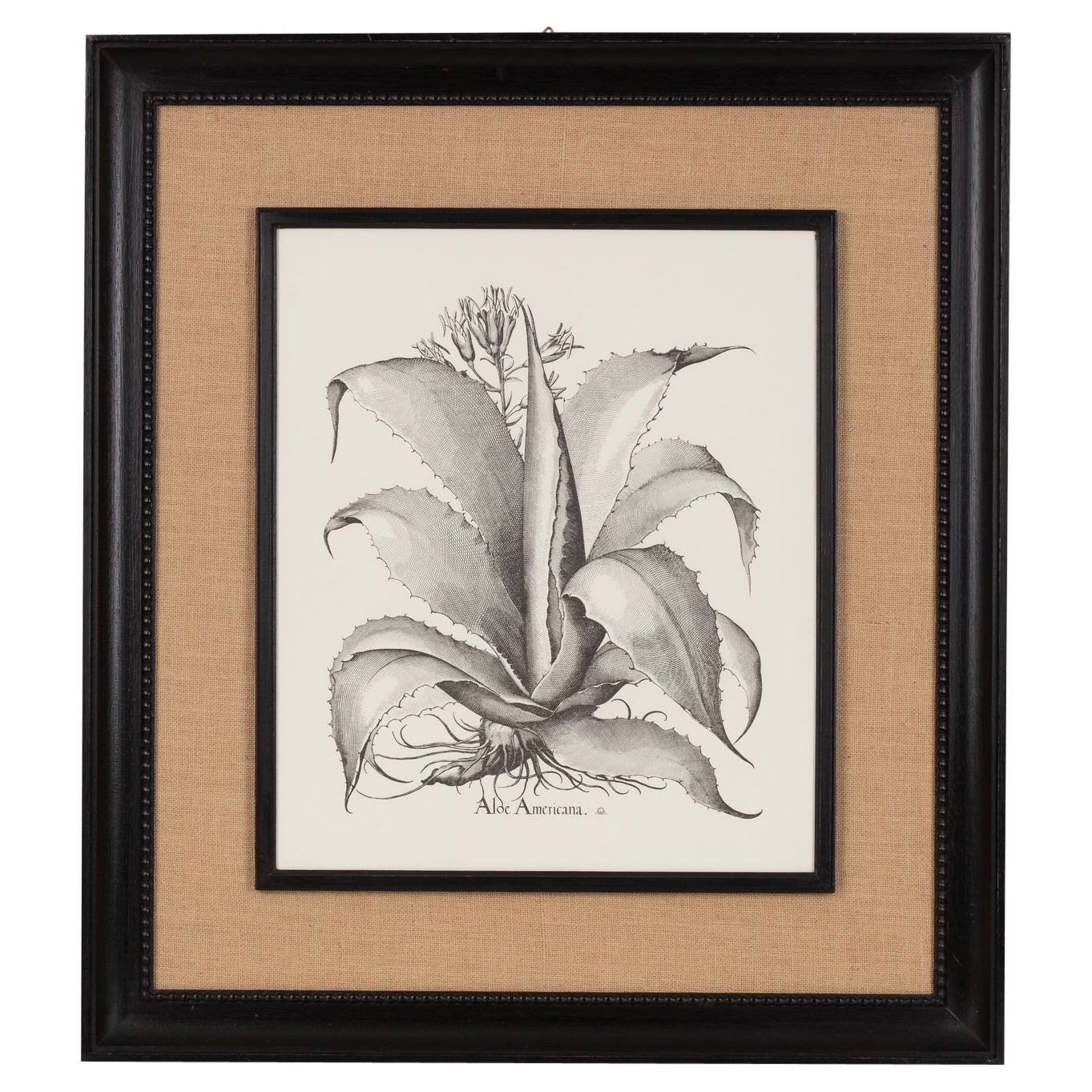Italienische Contemporary HandCrafted Print "Aloe America" Holz und Jute Rahmen 1 von 2