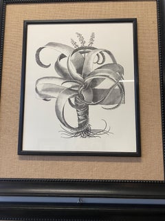 Italienische Contemporary HandCrafted Print "Aloe" Holz und Jute Rahmen 3 von 4