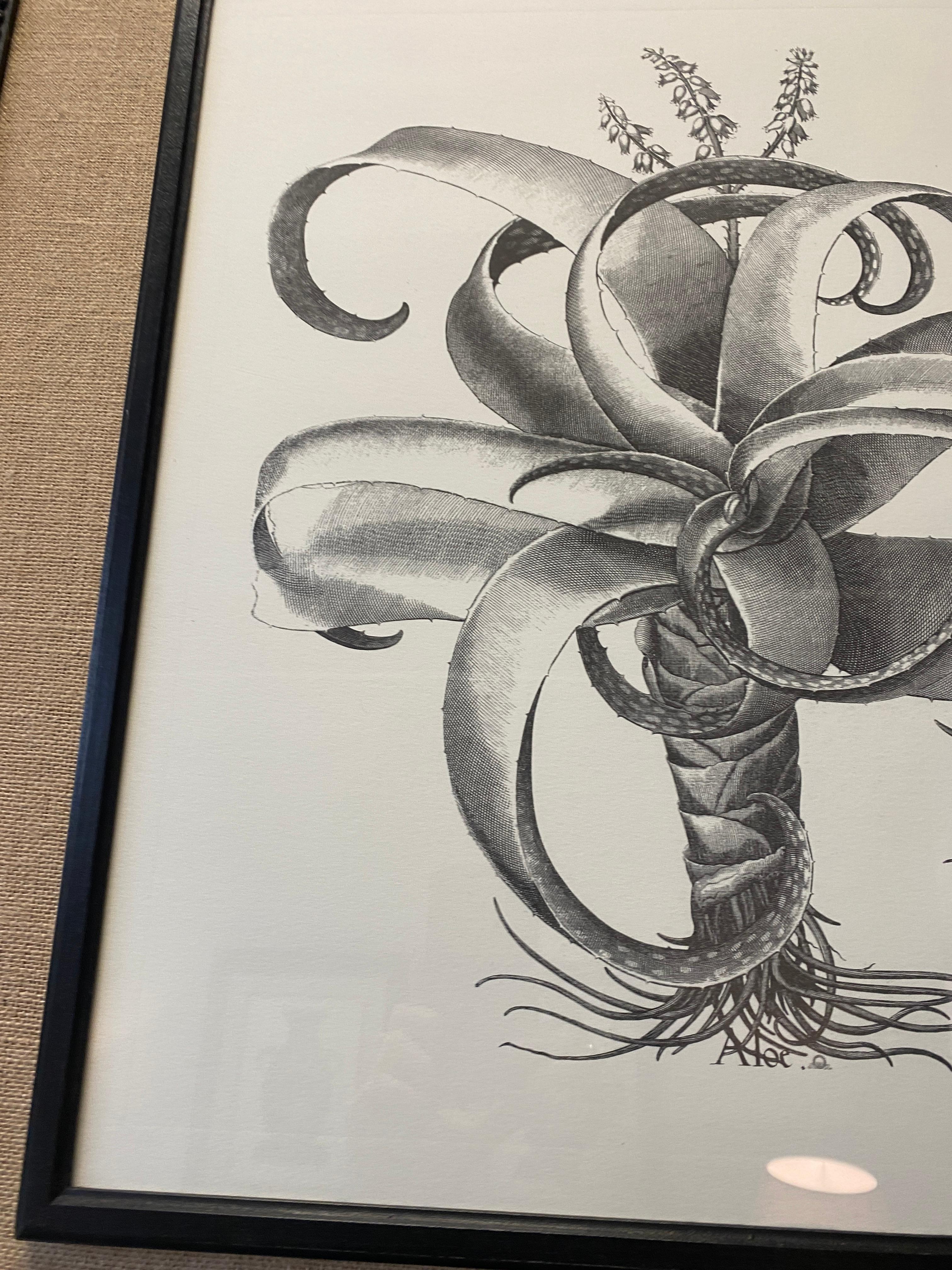 Impresión Artesanal Contemporánea Italiana 