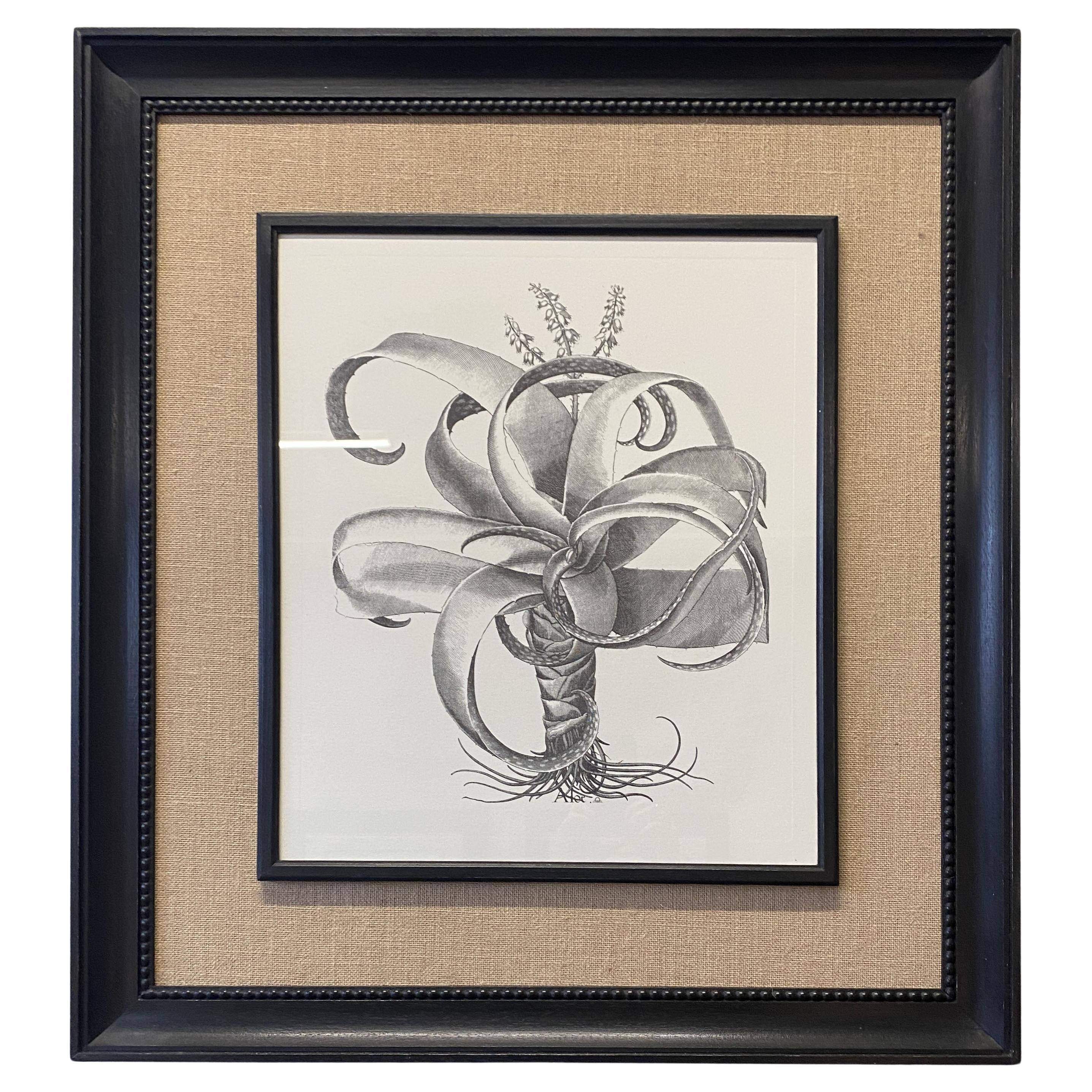 Italian Contemporary HandCrafted Print "Aloe" Wood and Jute Frame 3 of 4