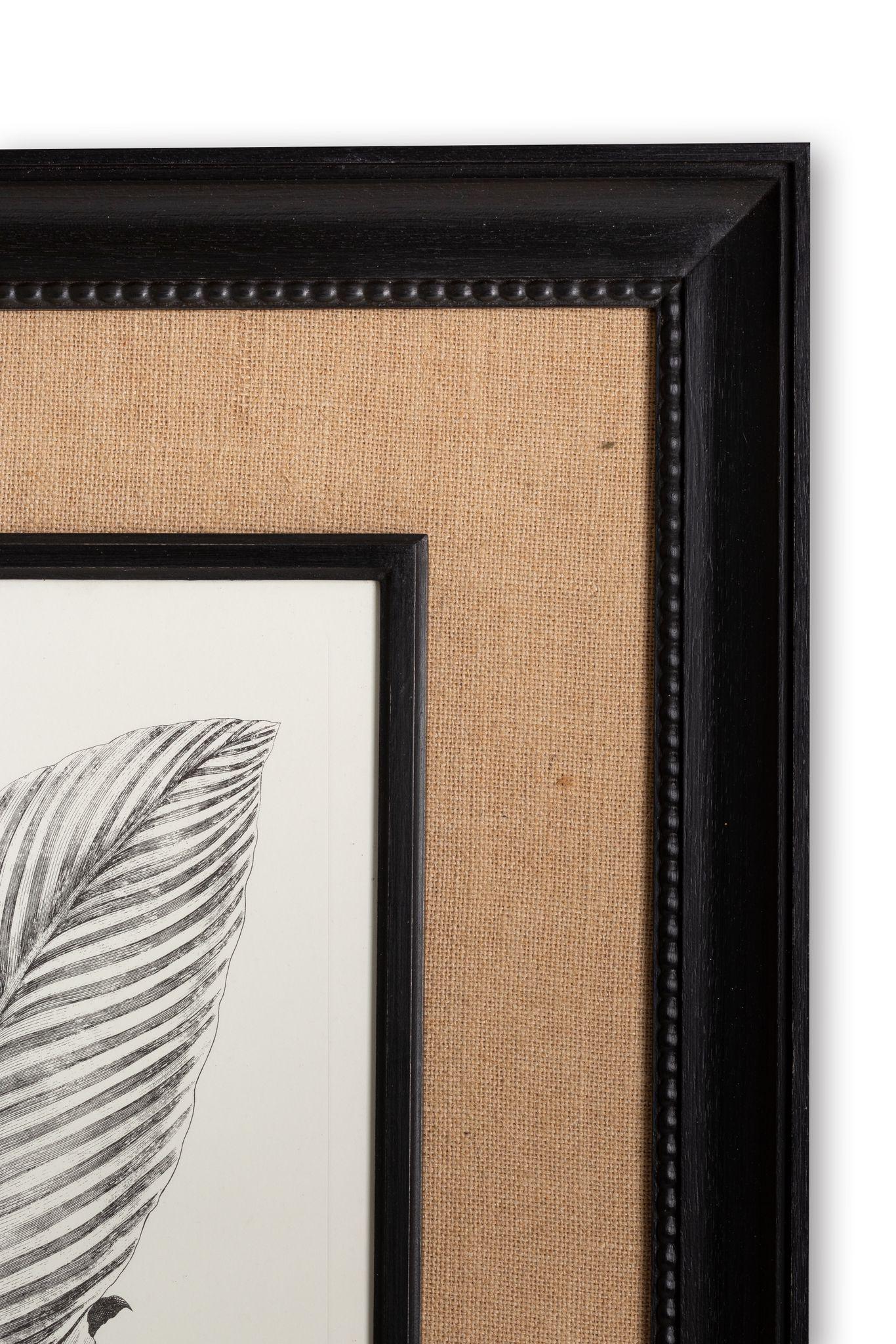 Print aus der Collection Botanique Schwarz-Weiß, die Canna Indica, mit einem schönen Holzrahmen mit einem Jute-Passpartout, die Farben und sumatute von Aquarellfarben bringt bereichert.

Collection'S von zwei: 
- Aloe Americana
- Canna Indica
-
