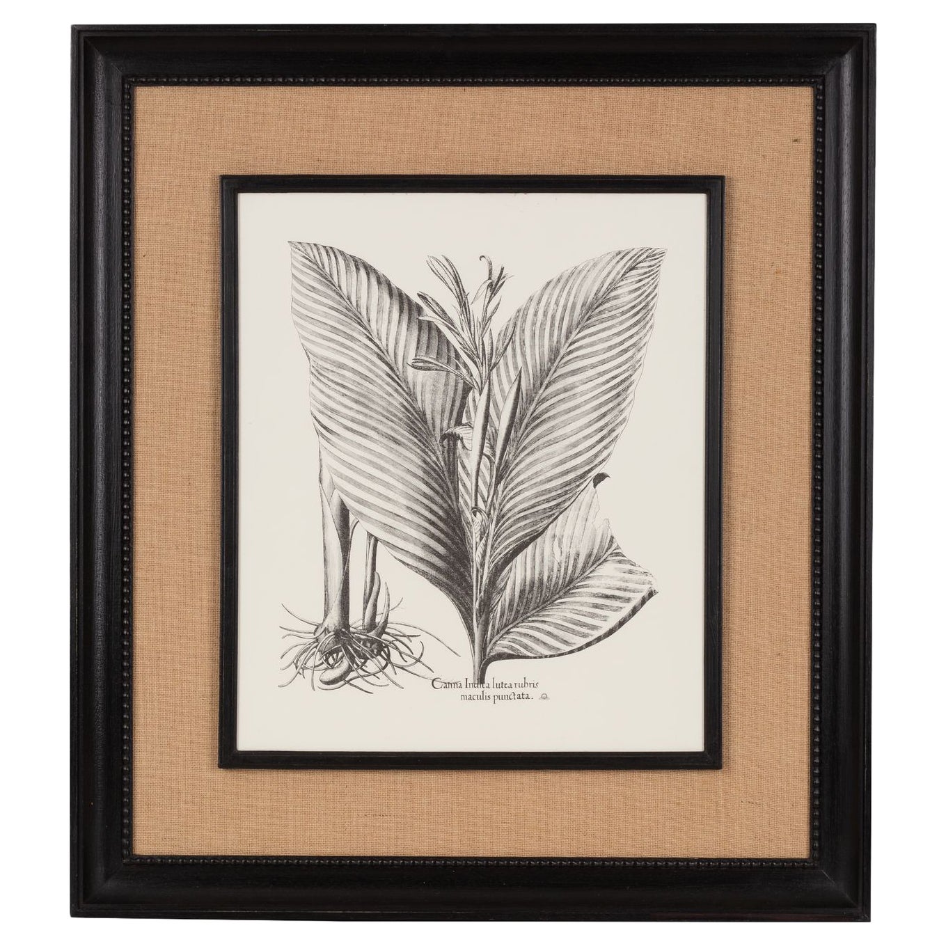 Italienische Contemporary HandCrafted Print "Canna Indica" Holz und Jute Rahmen 2 von 2