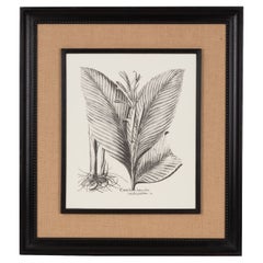 Stampa contemporanea italiana realizzata a mano "Canna Indica" con cornice in legno e iuta 2 di 2