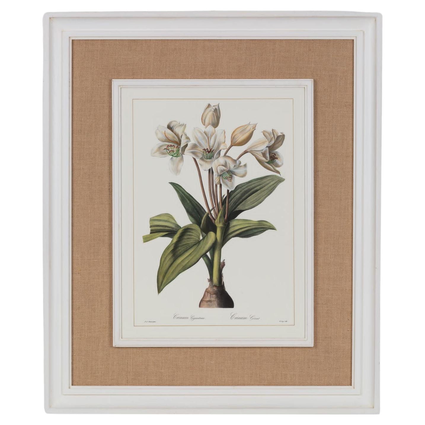 Italian Contemporary HandCrafted Print "Crinum" with Wood and Jute Frame 2 of 2