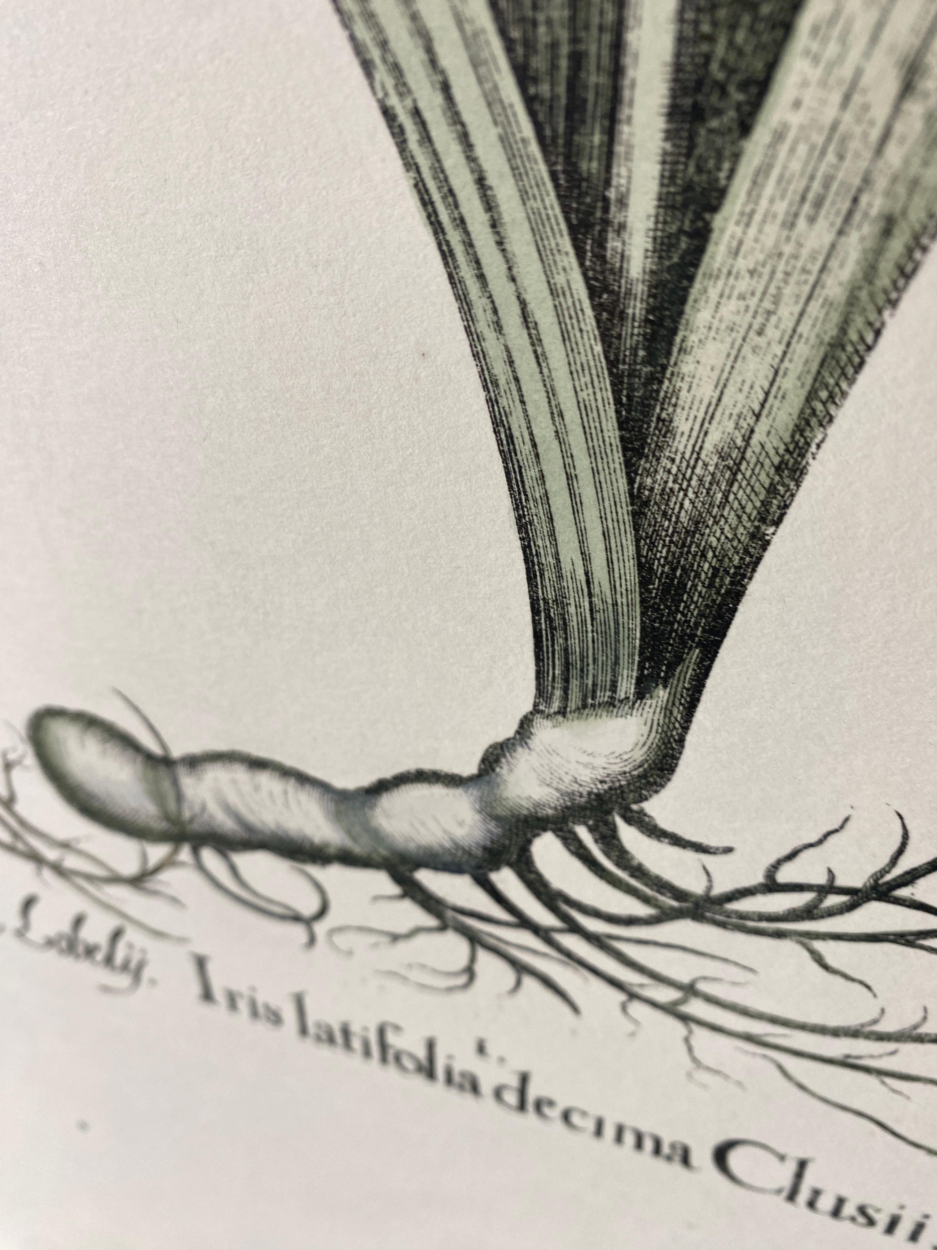 Italian Contemporary HandPainted Botanical Blue Print 