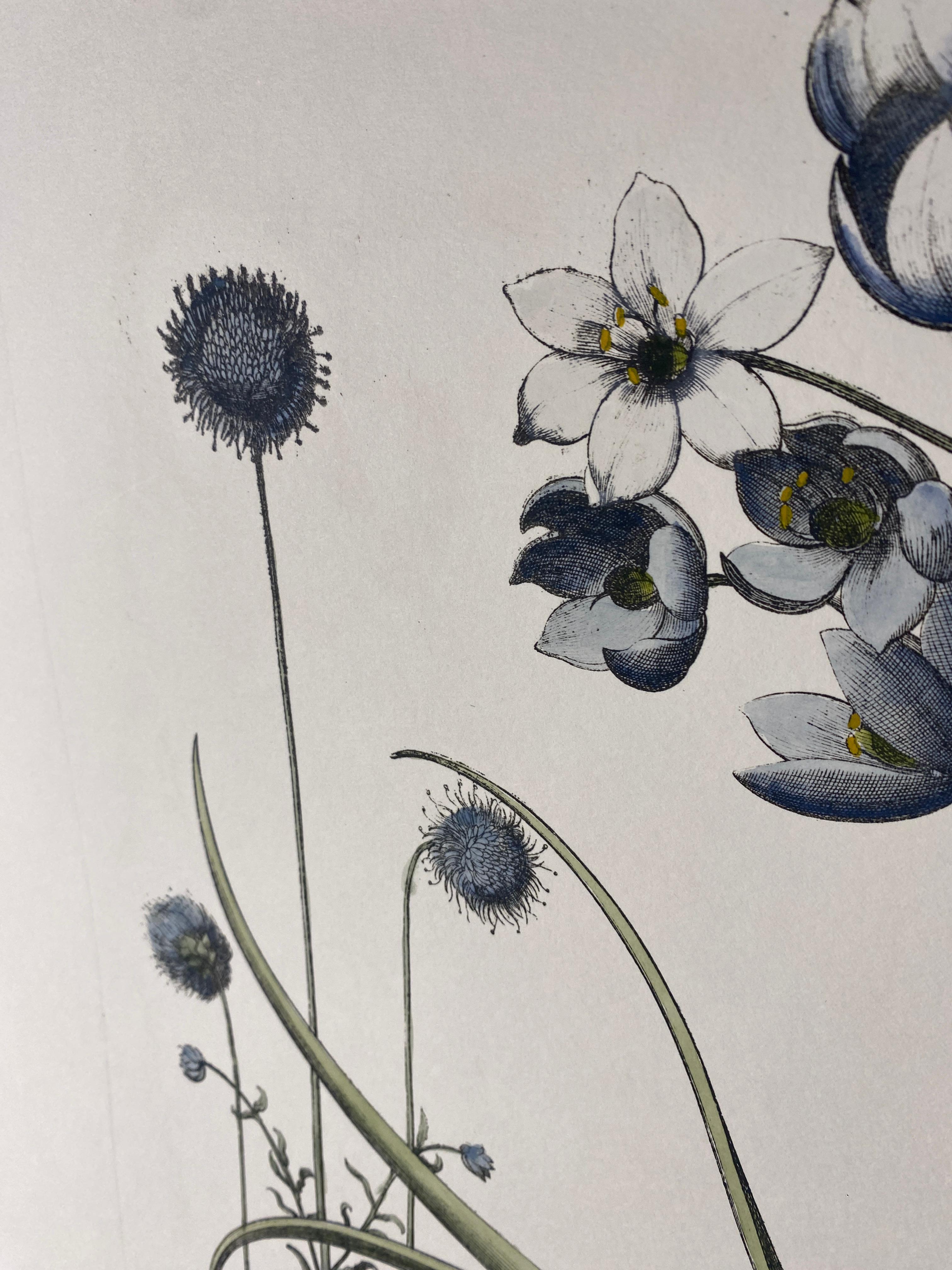 Carta Stampa botanica contemporanea italiana dipinta a mano in blu 
