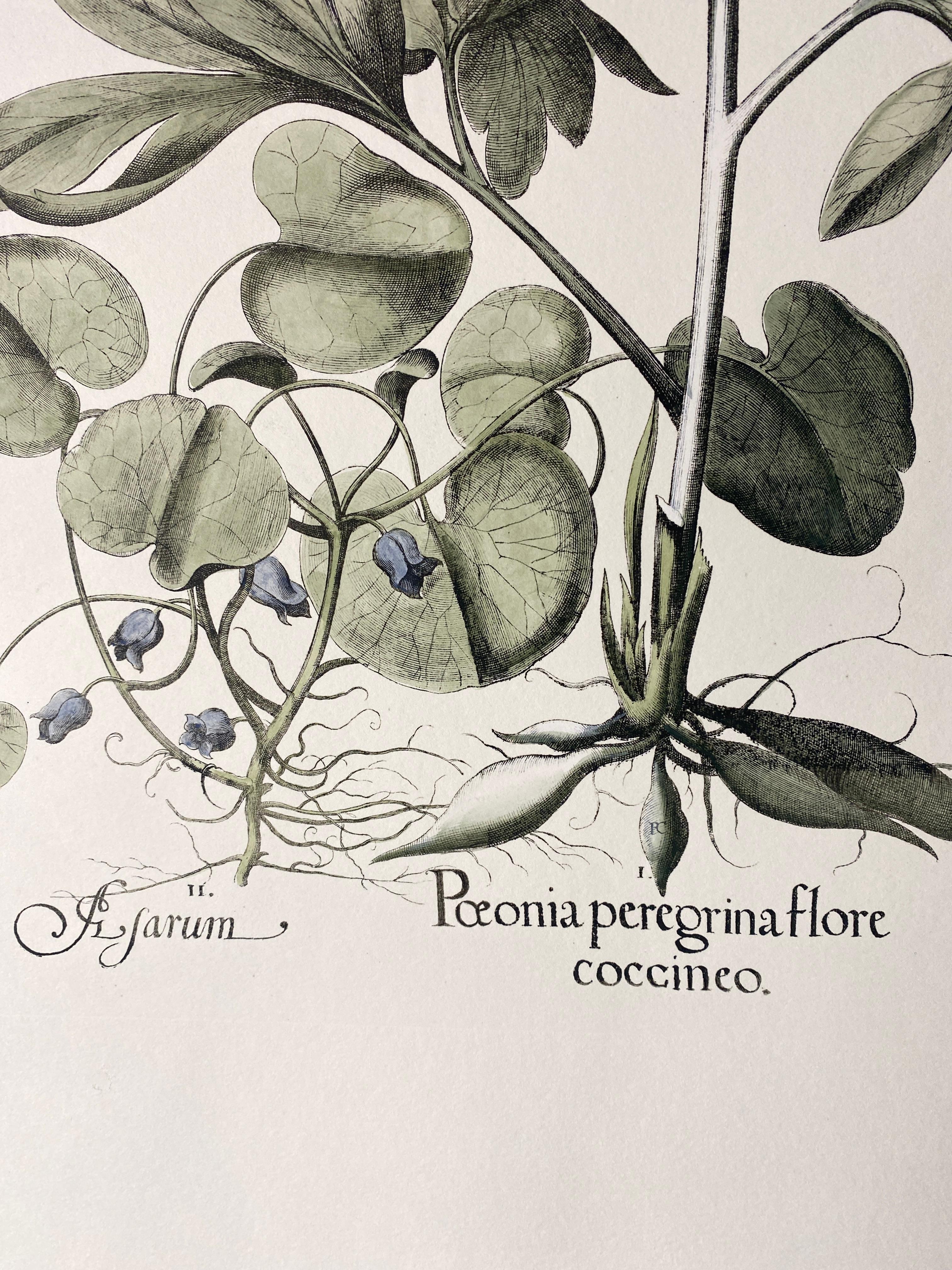 Papier Impression botanique bleue peinte à la main et contemporaine italienne 