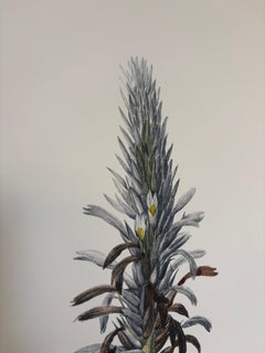 Italian Contemporary HandPainted Botanical Print "Pitcarnia" 3 of 3