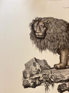 Italian Contemporary Jungle Style Hand Colored Faunistic Print, Lion