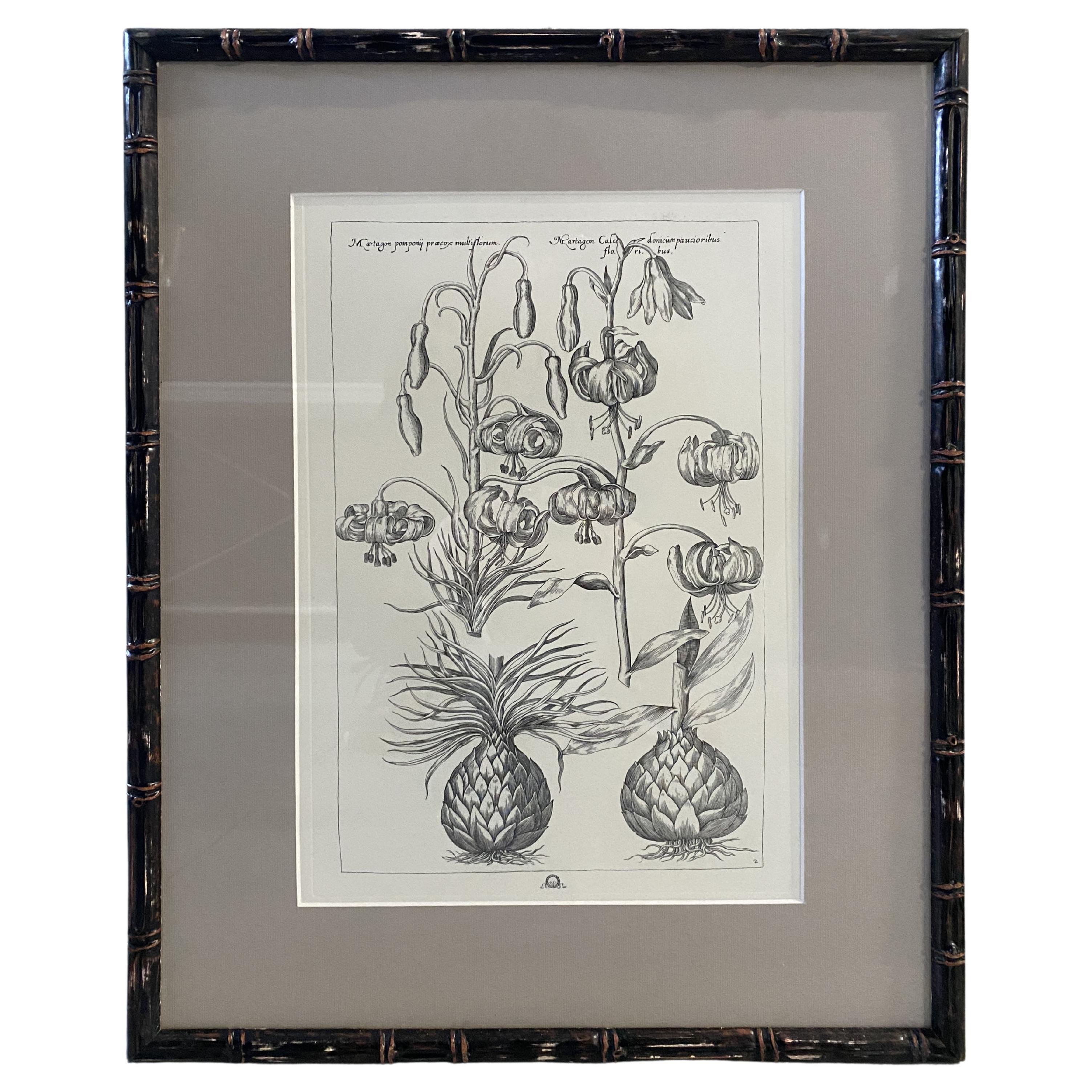 Italian Contemporary "Lilium" Black Print with Black Wood Frame 2 of 2 For Sale