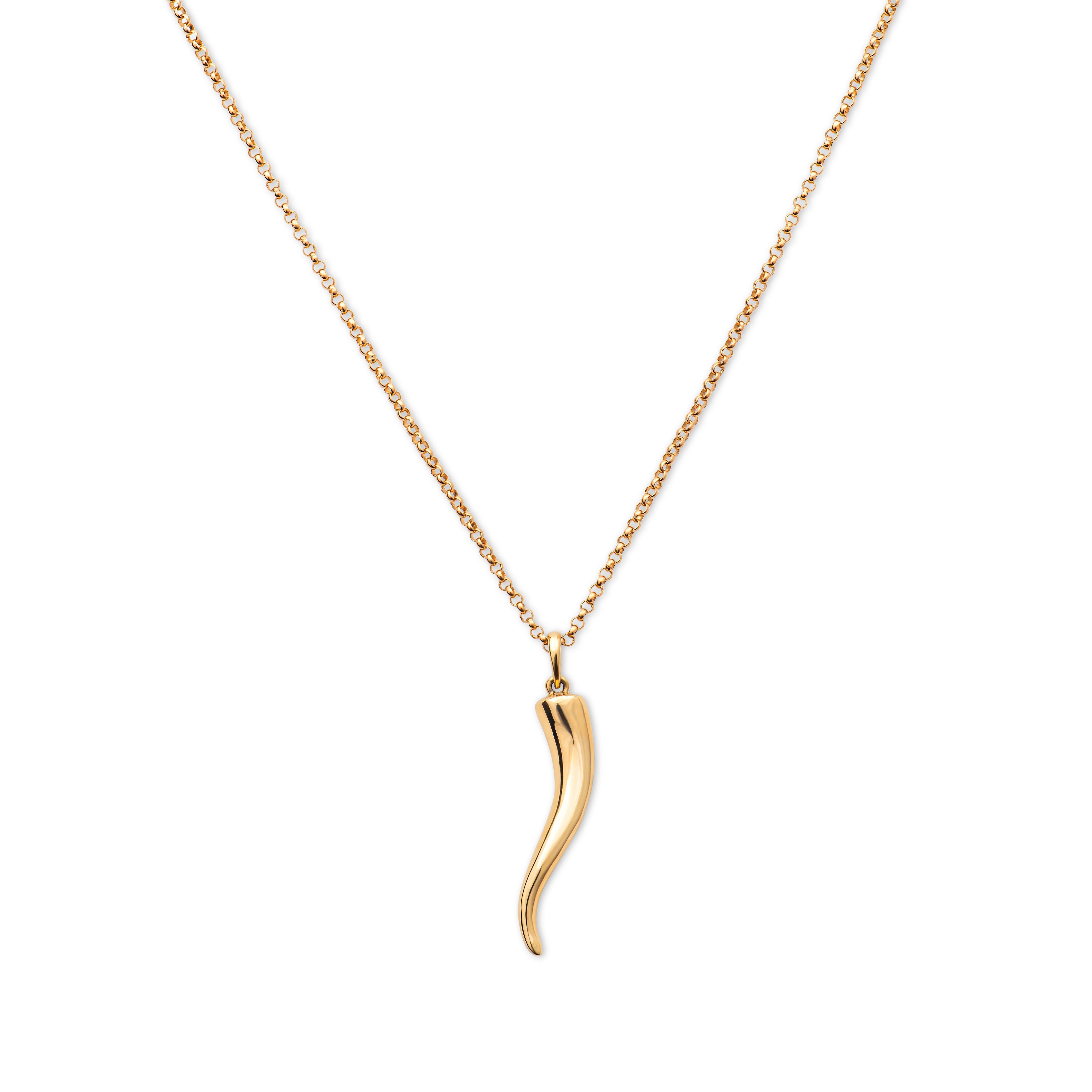 This beautiful cornicello horn pendant is an Italian good luck charm and talisman of protection against evil eye and bad luck. It is perfect Italian craftsmanship in 14 karat yellow gold.

Measurement : Length approximately 1.25 Inches

Chain not