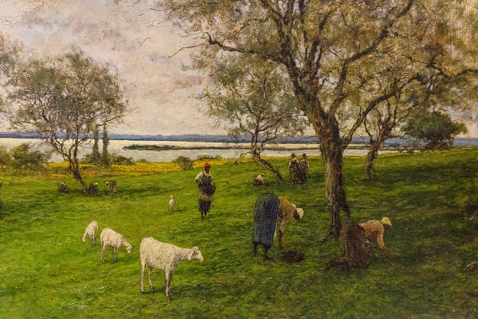 Paysage de campagne italienne avec moutons en pâturage en vente 2