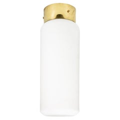 Italian Design Bidone Ceiling Light Attributed to Caccia Dominioni for Azucena