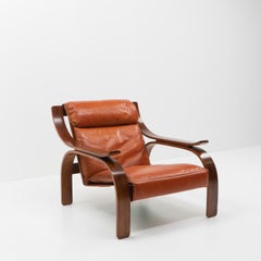 Italian Design Classic Woodline Lounge Chair by Zanuso for Arflex, 1960s