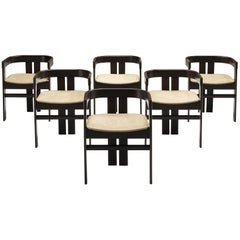 Italian Set of Six Dining Chairs in Oak