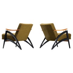 Italian Dynamic Lounge Chairs in Olive Green Upholstery