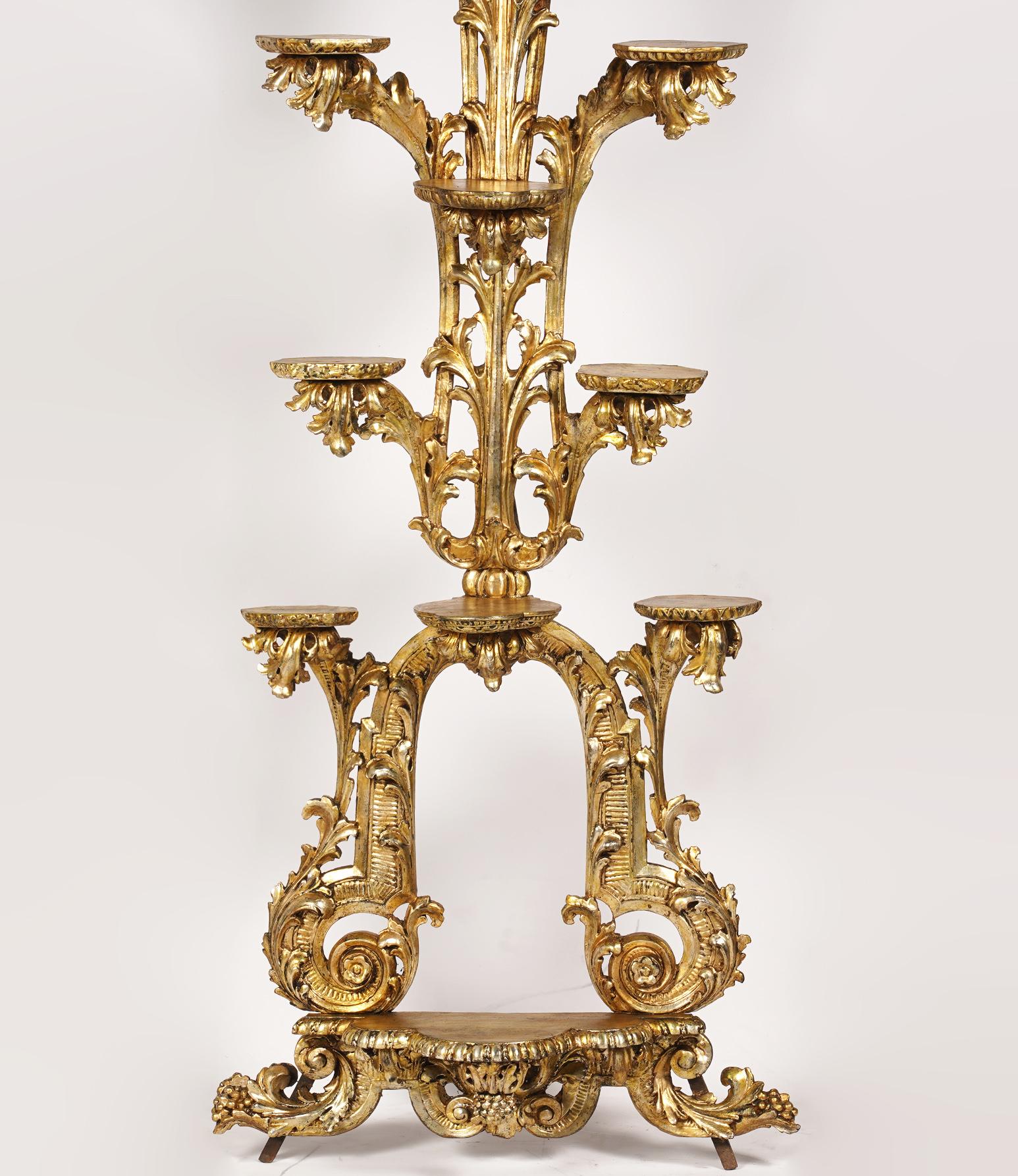 87 inches tall this unusual Italian carved giltwood towering display shelf offers 12 small dedicated circular platforms for showcasing precious items, early 19th century. Shaped by foliate carving the shelf stretches four levels upwards like a tree