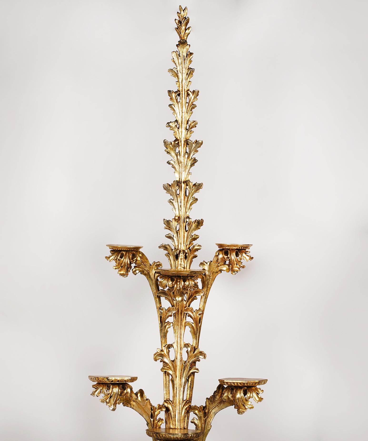 Louis XVI Italian Carved Giltwood Multi Display Towering Foliate Wall Shelf